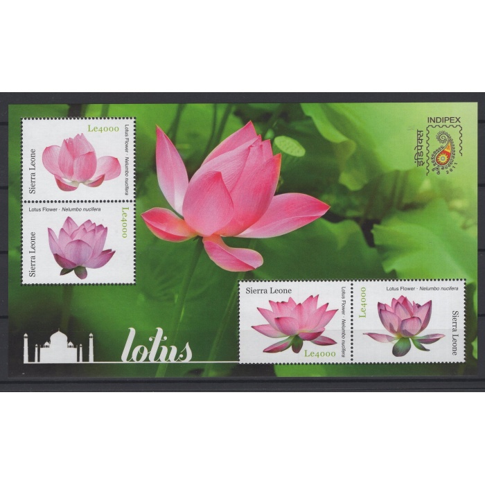 ÇİÇEKLER-LOTUS-2011 SIERRA LEONE-DAMGASIZ MNH BLOK