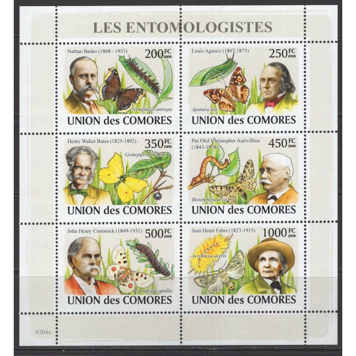 KELEBEKLER-ENTOMOLOJİ-2008 COMORES-DAMGASIZ MNH BLOK