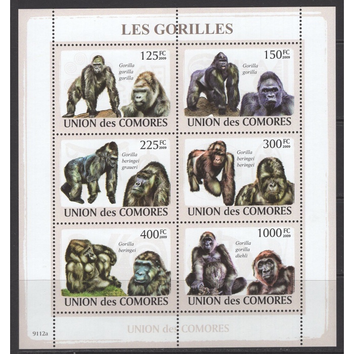 GORİLLER-2009 COMORES-DAMGASIZ MNH BLOK