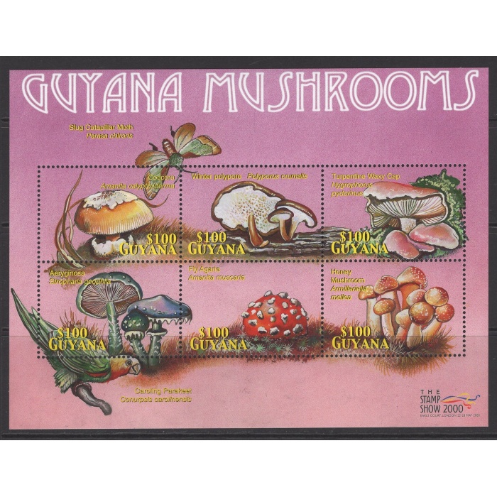 MANTARLAR-2000 GUYANA-DAMGASIZ MNH BLOK