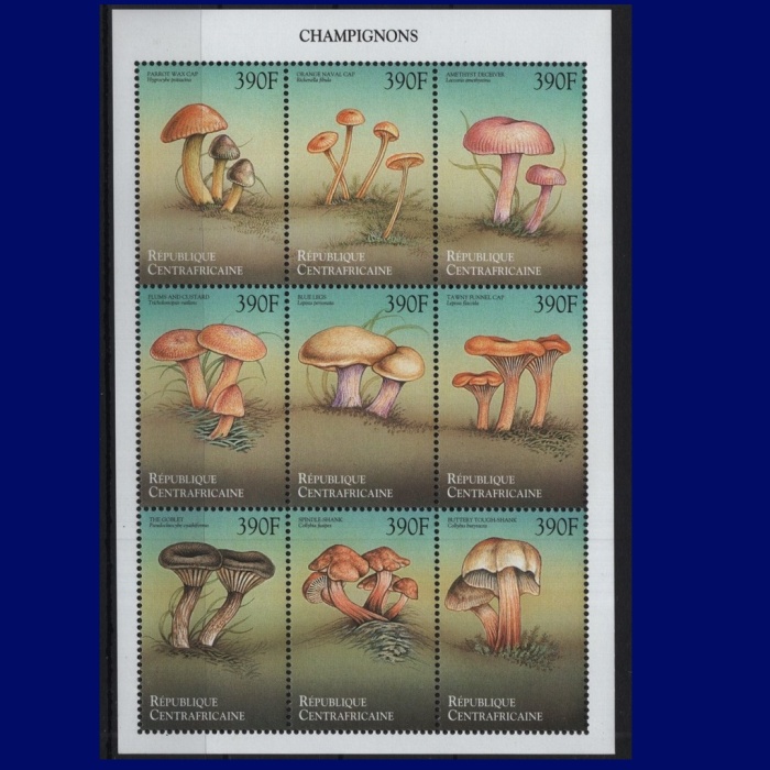 MANTARLAR-1999 ORTA AFRİKA-DAMGASIZ MNH BLOK