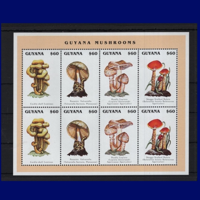 MANTARLAR-1996 GUYANA-DAMGASIZ MNH BLOK