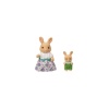    5728 Sylvanian Families Gift Set Kasaba Okulu Seti +4 yaş