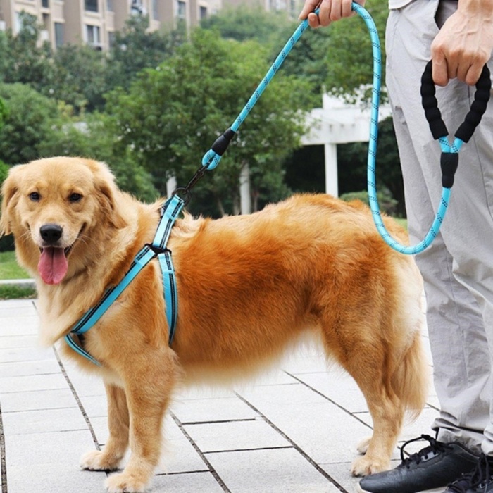  Reflektörlü Fosforlu Köpek Gezdirme Halatı Tasma Kayışı Metal Kancalı 130 cm