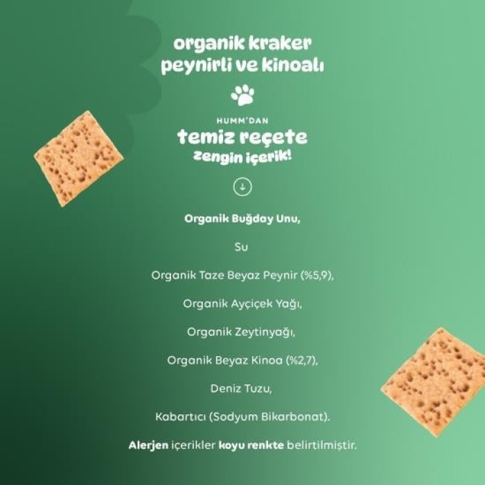    Humm Organik Peynirli Kinoalı Kraker 60 Gr