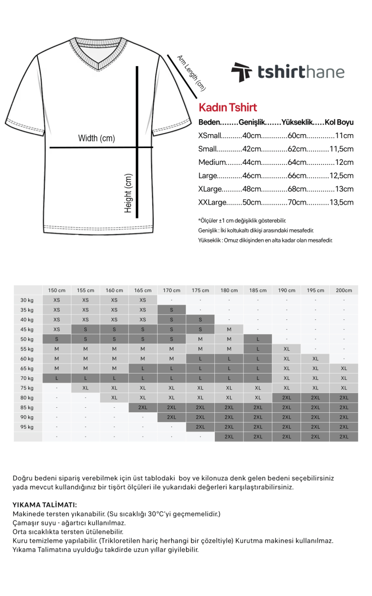 Bioshock Fontaine Futuristics Beyaz Kadın V yaka Tshirt