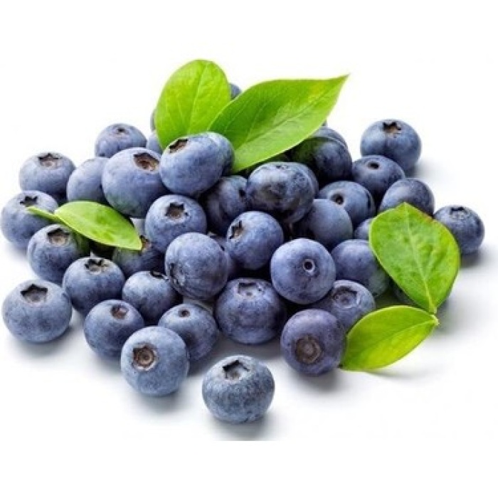 Tüplü Yaban Mersini(Likapa,blueberry,maviyemiş)  Fidanı