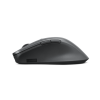 LENOVO PROFESSIONAL KABLOSUZ MOUSE 4Y51J62544