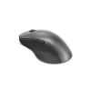 LENOVO PROFESSIONAL KABLOSUZ MOUSE 4Y51J62544