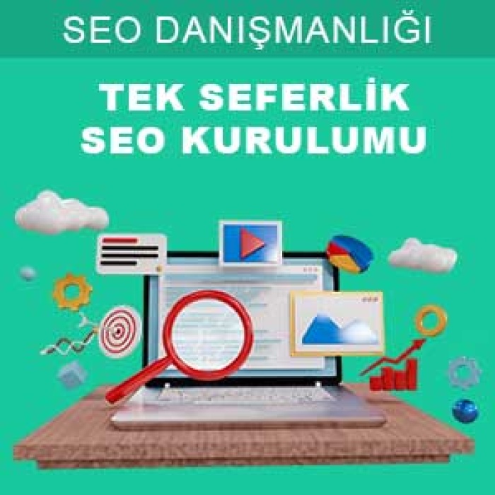 Seo Danışmanlığı (Kurulum)