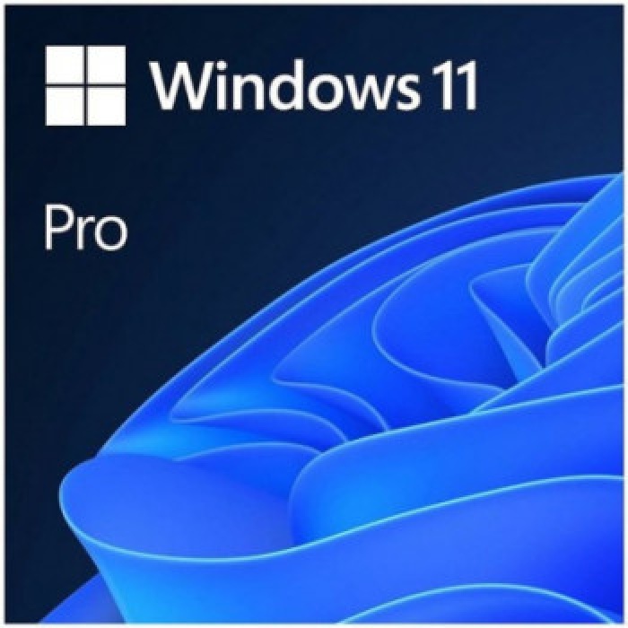 MS WINDOWS 11 PRO 64BIT ENG OEM FQC-10528