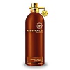 Montale Amber Spices