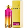 Montale Aoud Jasmine