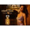 Roberto Cavalli Florence Amber