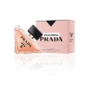 Prada Paradoxe