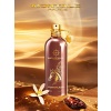 Montale Arabians Musk