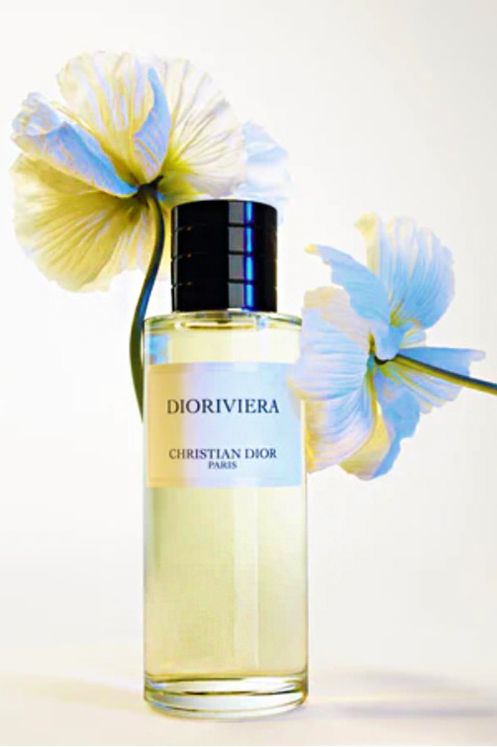 Dioriviera Eau De Parfum Fig And Rose Notes DIOR CA, 50% OFF