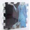 Disney Frozen Eva Yer Matı