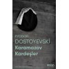 Karamazov Kardeşler (Fotoğraflı Klasikler)