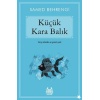 Küçük Kara Balık