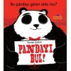 Pandayı Bul! - Bu Pandayı Gören Oldu Mu?