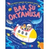 Bak Şu Okyanusa