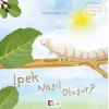 Oluşum Hikayeleri - İpek Nasıl Oluşur?