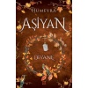 Aşiyan 2 - Divane (Ciltli)