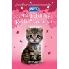 Terk Edilmiş Kedi Yavrusu