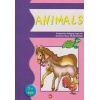 Animals