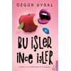 Bu İşler İnce İşler