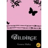 Bildirge