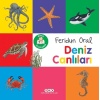 Minik Kitaplarım – Deniz Canlıları