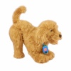 Myj00101 My Fuzzie Friends Sevimli Labrador Moji - 18207