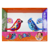 Digibirds İkili Paket Seri 2