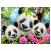 Prime 3D - Panda Pelüş Ve Selfie 48 Parça Puzzle 15800