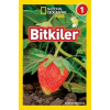 Kids - Bitkiler