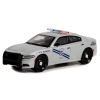 1/64 2019 Dodge Charger