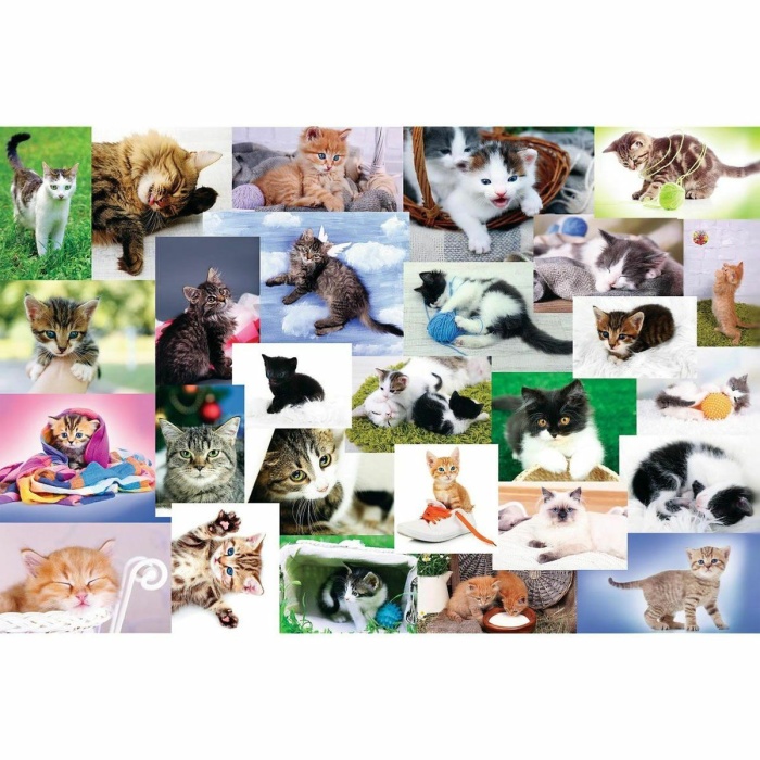 17332 Trefl/60 Puzzle Cats World Yapboz