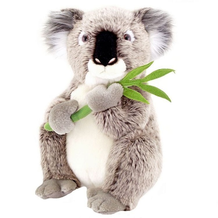 30Cm Koala