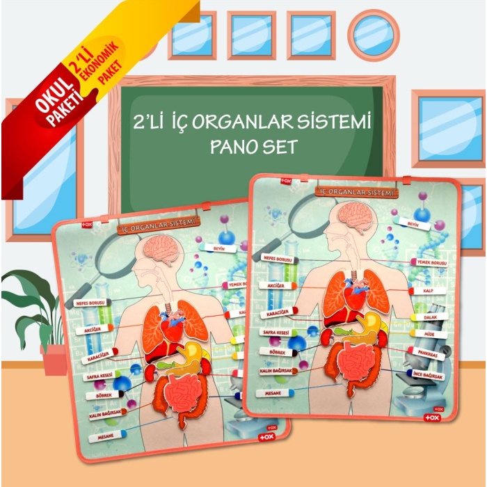 2 Set - 52 Parça  İç Organlar Sistemi Keçe Duvar Panoları , Eğitici Oyuncak