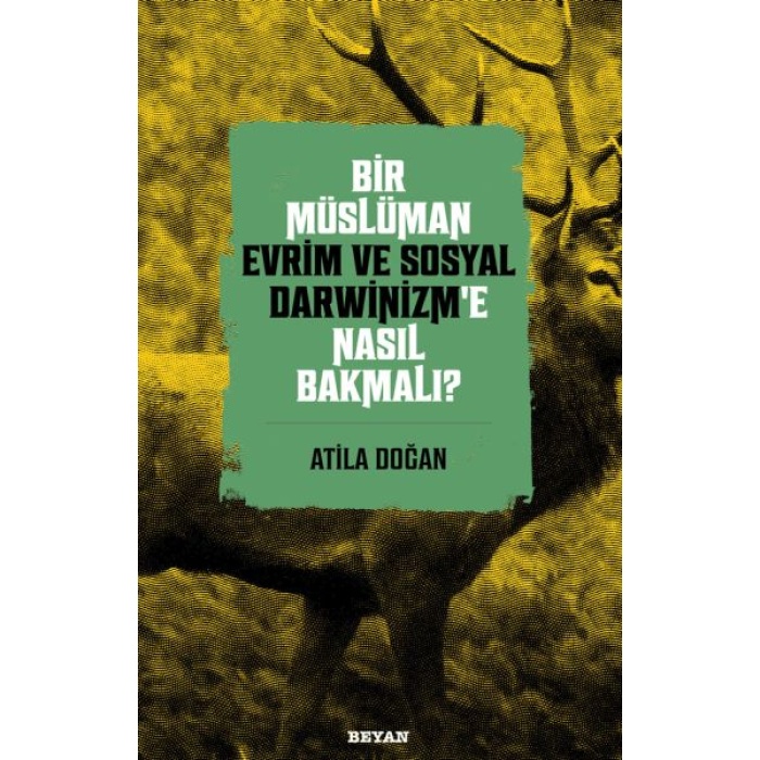 Bir Müslüman Evrim Ve Sosyal Darwinizm’e Nasıl Bakmalı?