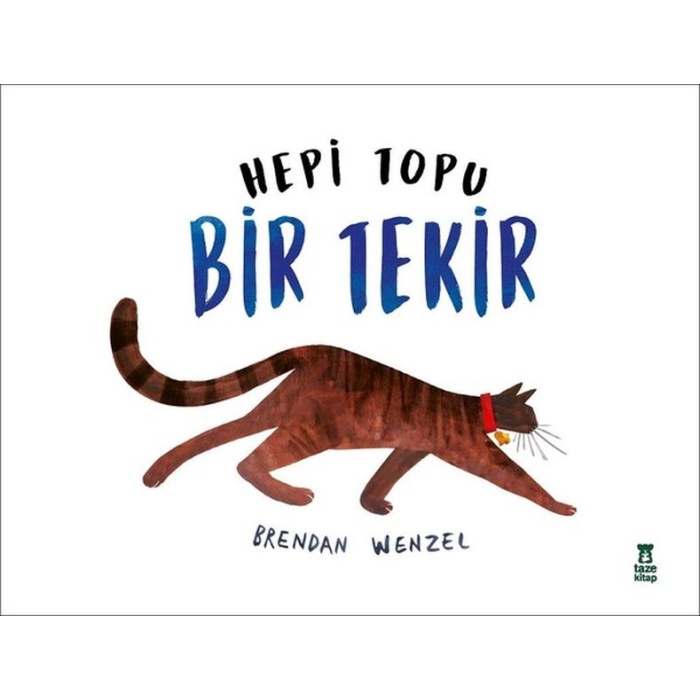 Hepi Topu Bir Tekir