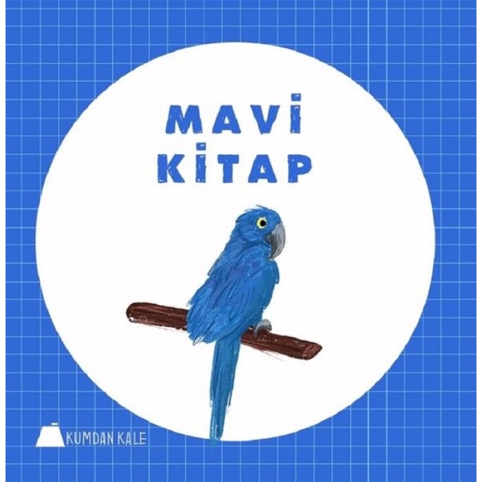 Mavi Kitap