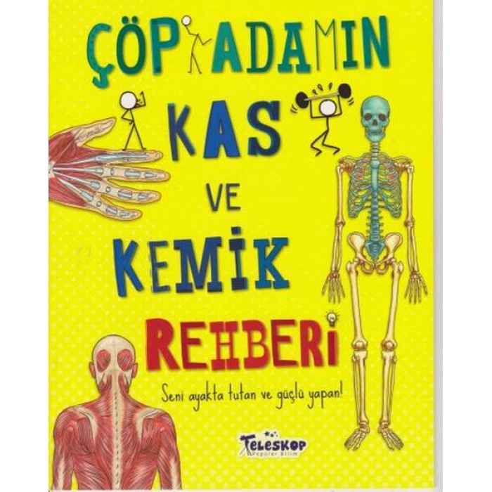 Çöp Adamın Kas Ve Kemik Rehberi