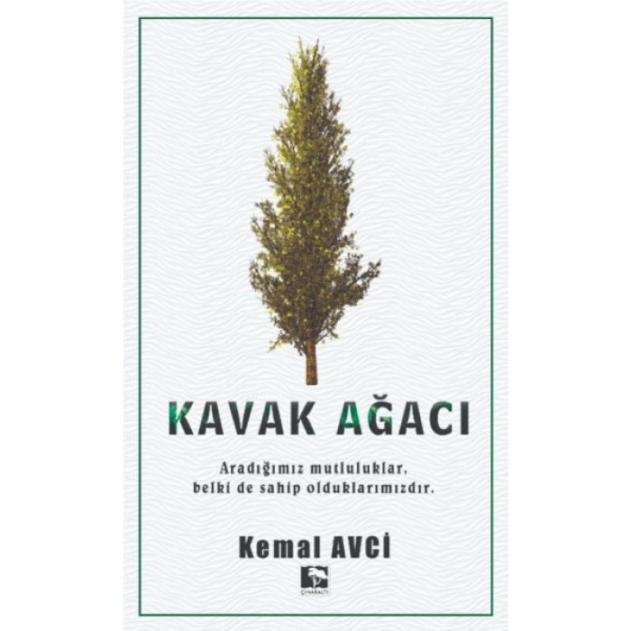 Kavak Ağacı