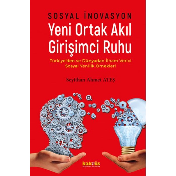 Sosyal İnovasyon Yeni Ortak Akıl Girişimci Ruhu