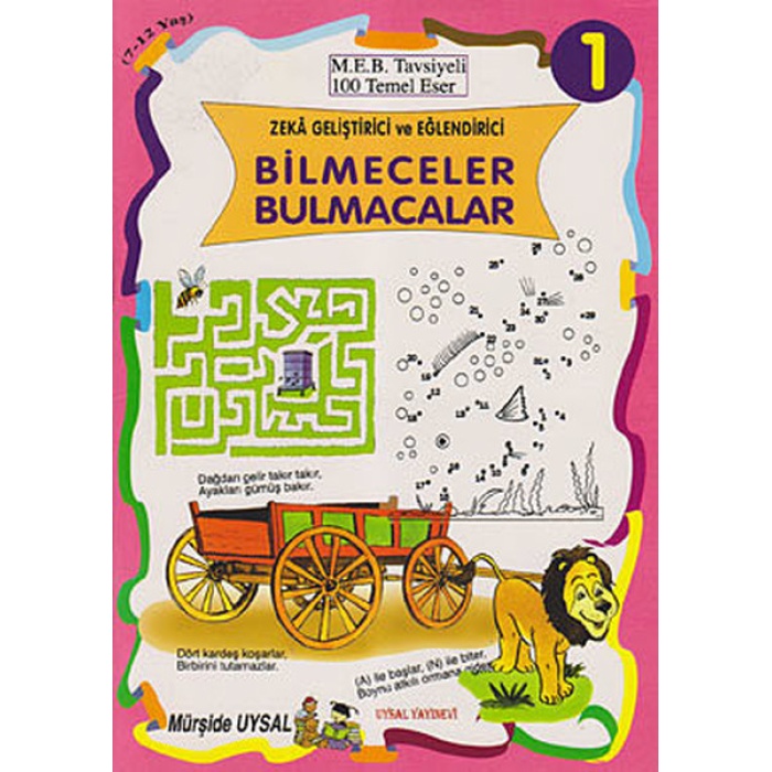 Zeka Geliştirici Ve Eğlendirici Bilmeceler Bulmacalar (10 Kitap Takım)