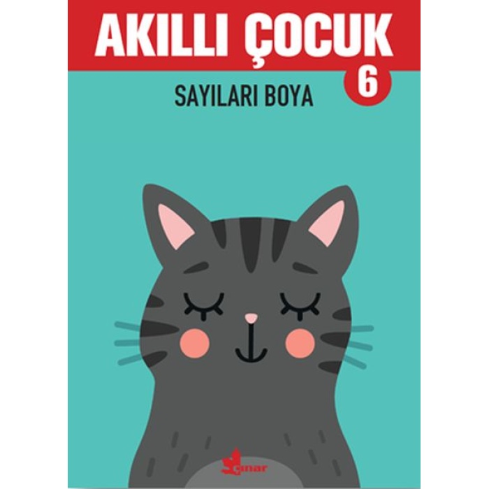 Sayıları Boya - Akıllı Çocuk 6