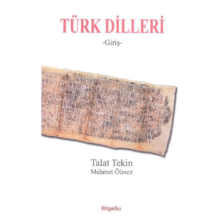 Türk Dilleri